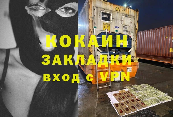 сатива Алзамай