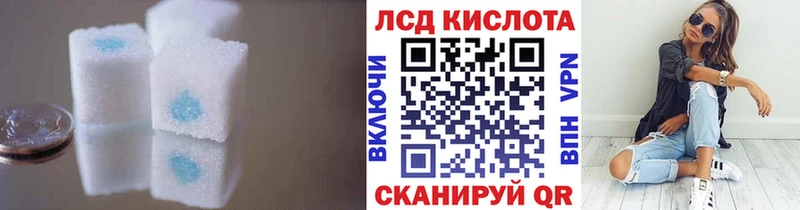 как найти наркотики  Боровичи  Лсд 25 экстази ecstasy 