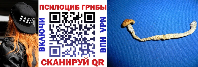 Галлюциногенные грибы мухоморы  где купить наркоту  Боровичи 